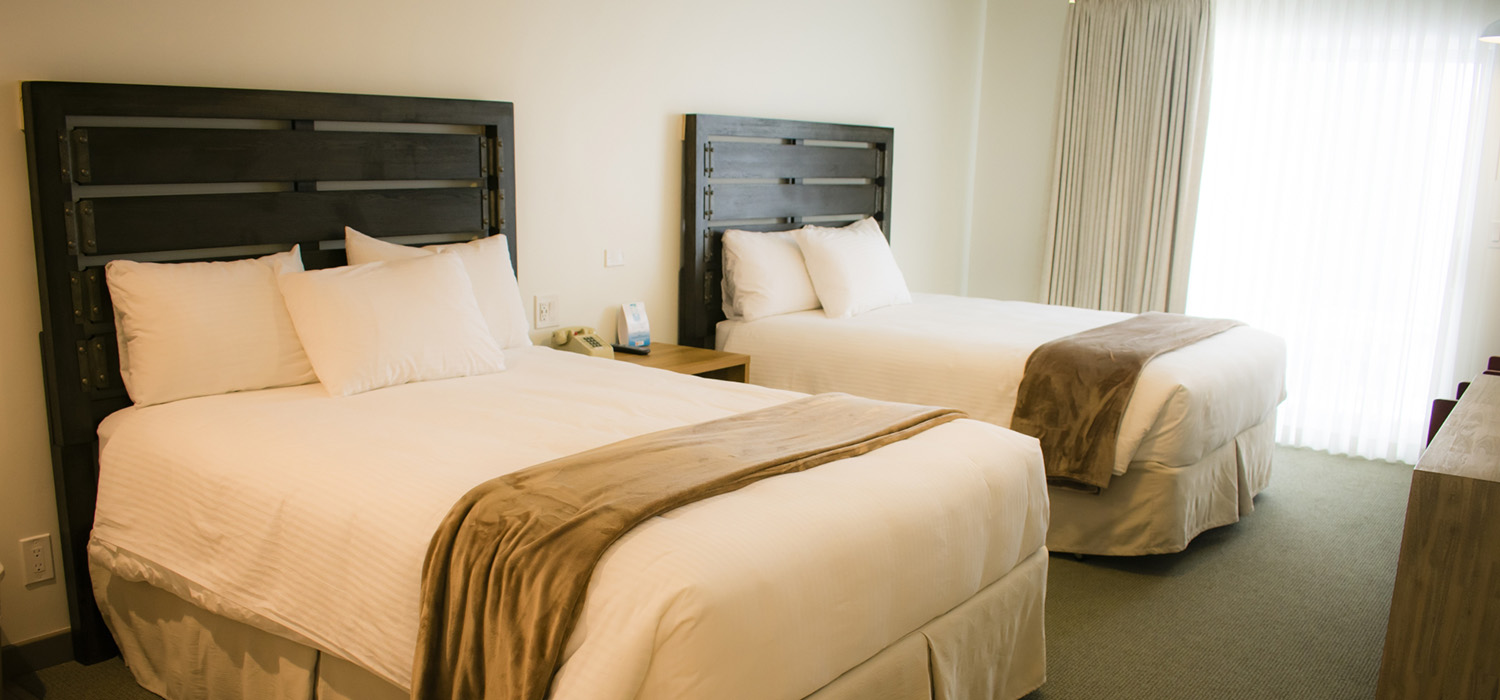 TAKE ADVANTAGE OF OUR VARIOUS ROOM TYPE OPTIONS